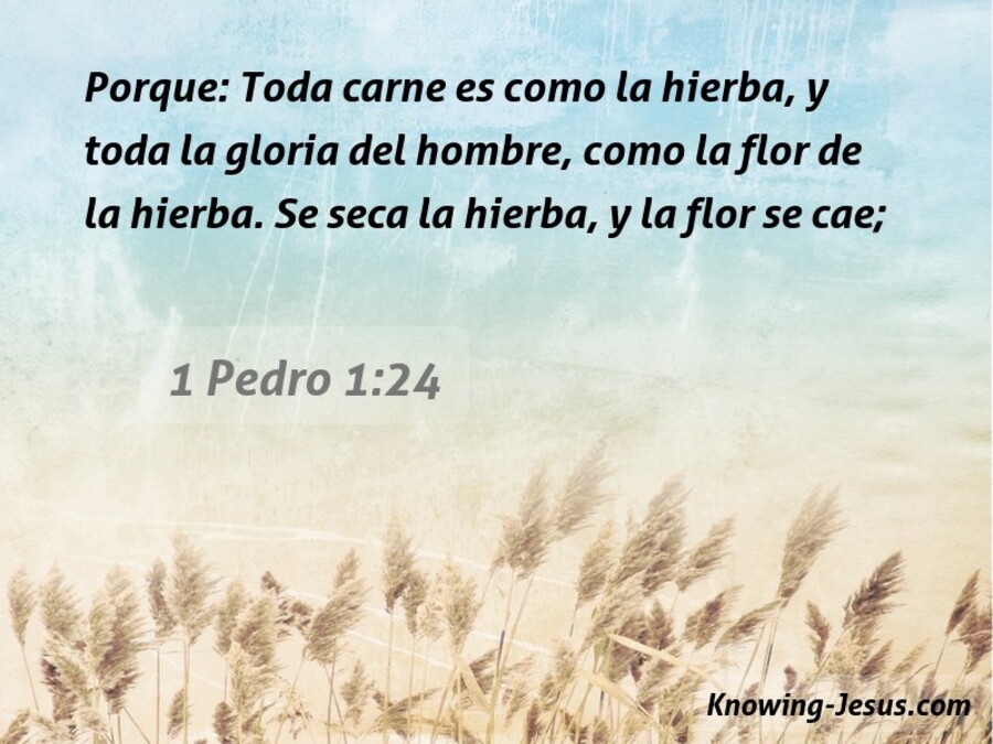 1 Pedro 1:24 La abrasión (blanco)